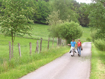 Een mooie wandeltocht tijdens de wandelvakantie Sauerland
