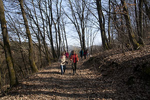 wandelen door de natuur van Sauerland van Nationaalpark Kellerwald Edersee